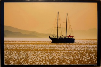LOT-067