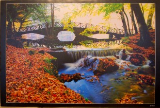 LOT-068