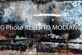 2012-02-26_buyukada_361art