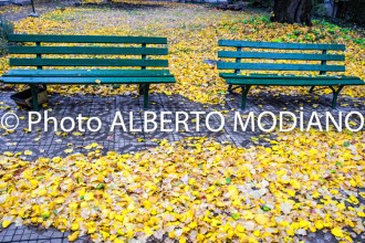 2013-10-17_289plovdiv